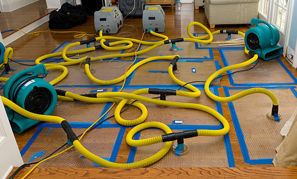 Professional Burst Pipe Water Damage technician working in Elkton, KY